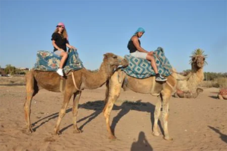 Camel Ride At The Sunset In Agadir