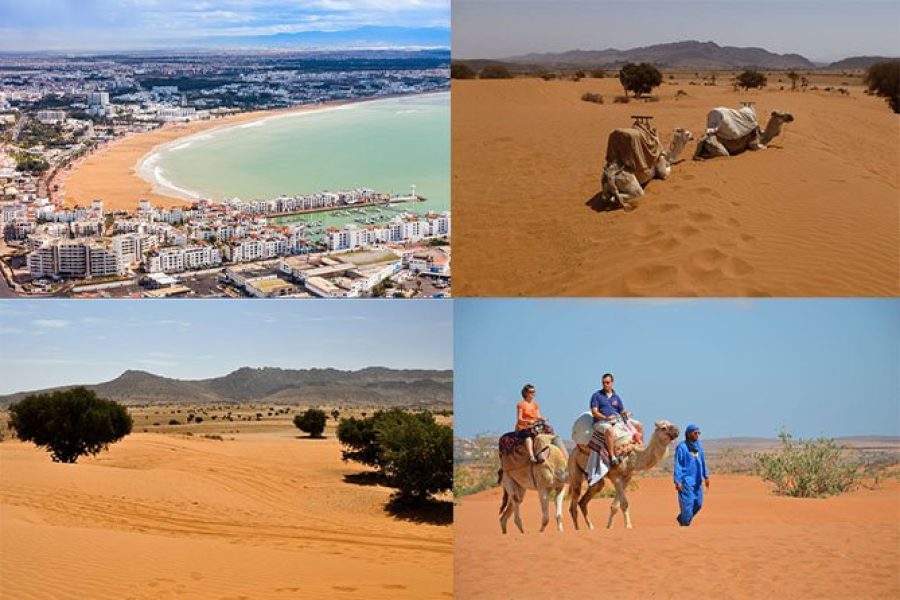 Agadir Day Trip to Massa Small Dune